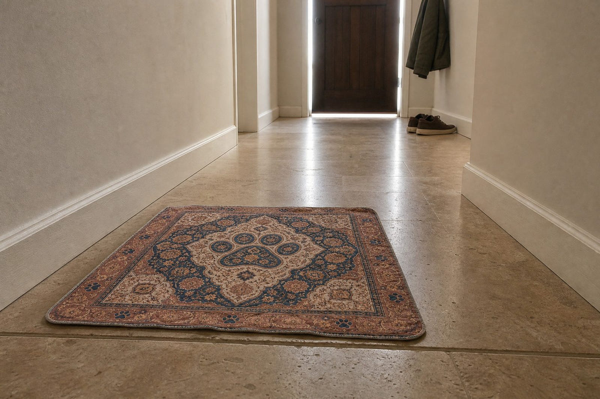 An empty hallway seen from low down, a closed front 