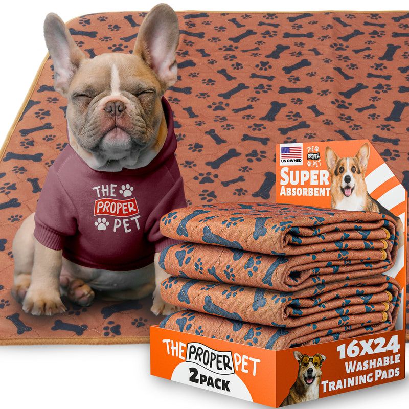 The Proper Pet washable pee pad, brown bones and paws print, 16x24 inch, retail 2-pack