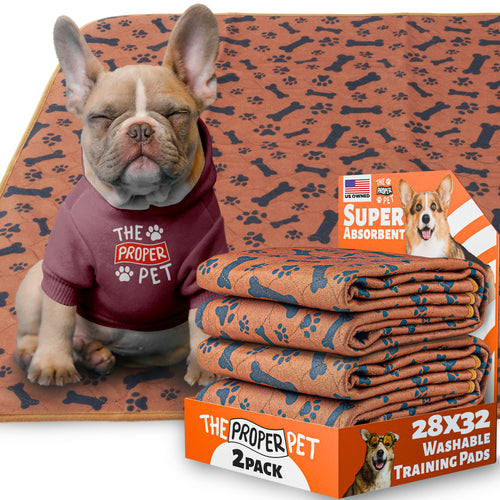 The Proper Pet washable pee pad, brown bones and paws print, 28x32 inch, retail 2-pack