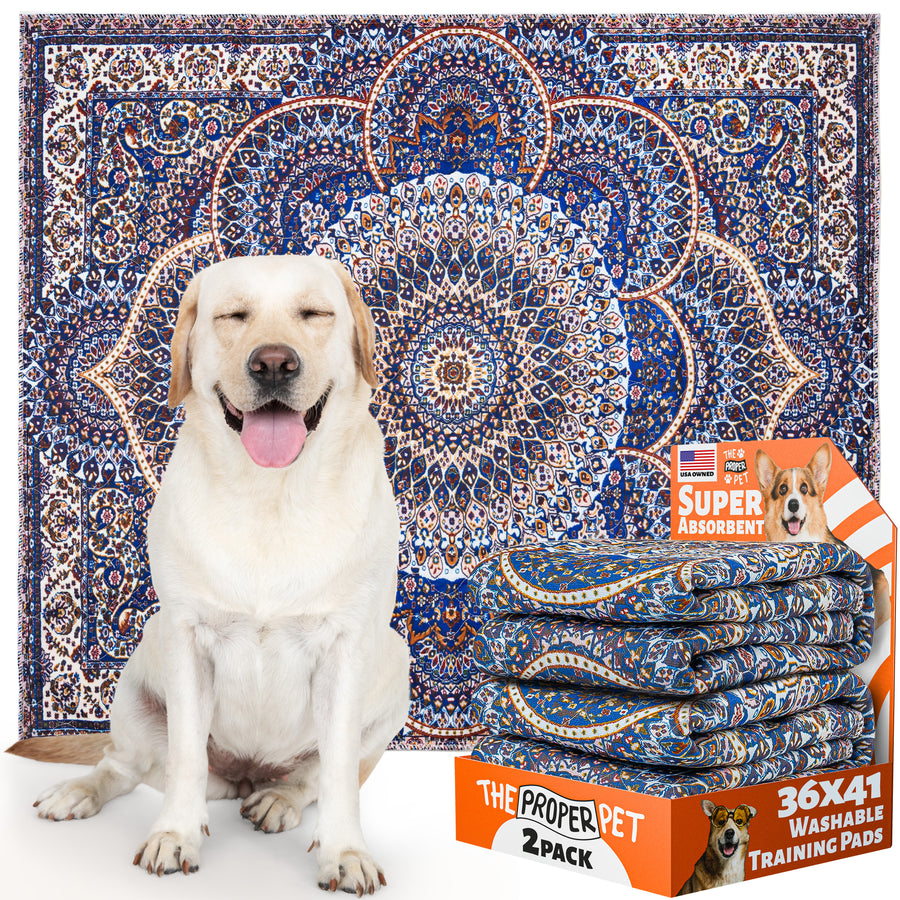 The Proper Pet washable pee pad, Royal Persian-rug print, 16x24 inch, retail 2-pack
