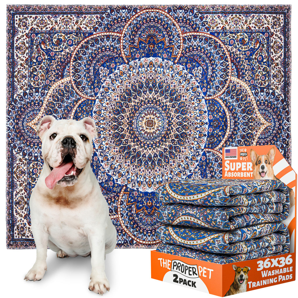 The Proper Pet washable pee pad, Royal Persian-rug print, 28x32 inch, retail 2-pack