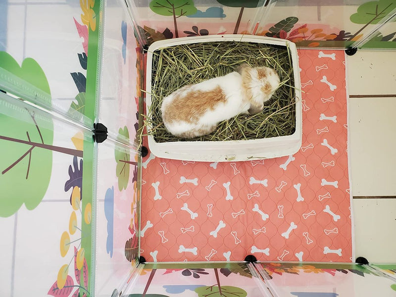 A guinea pig in a hay tray on The Proper Pet's orange bones-print washable pad lining a cage